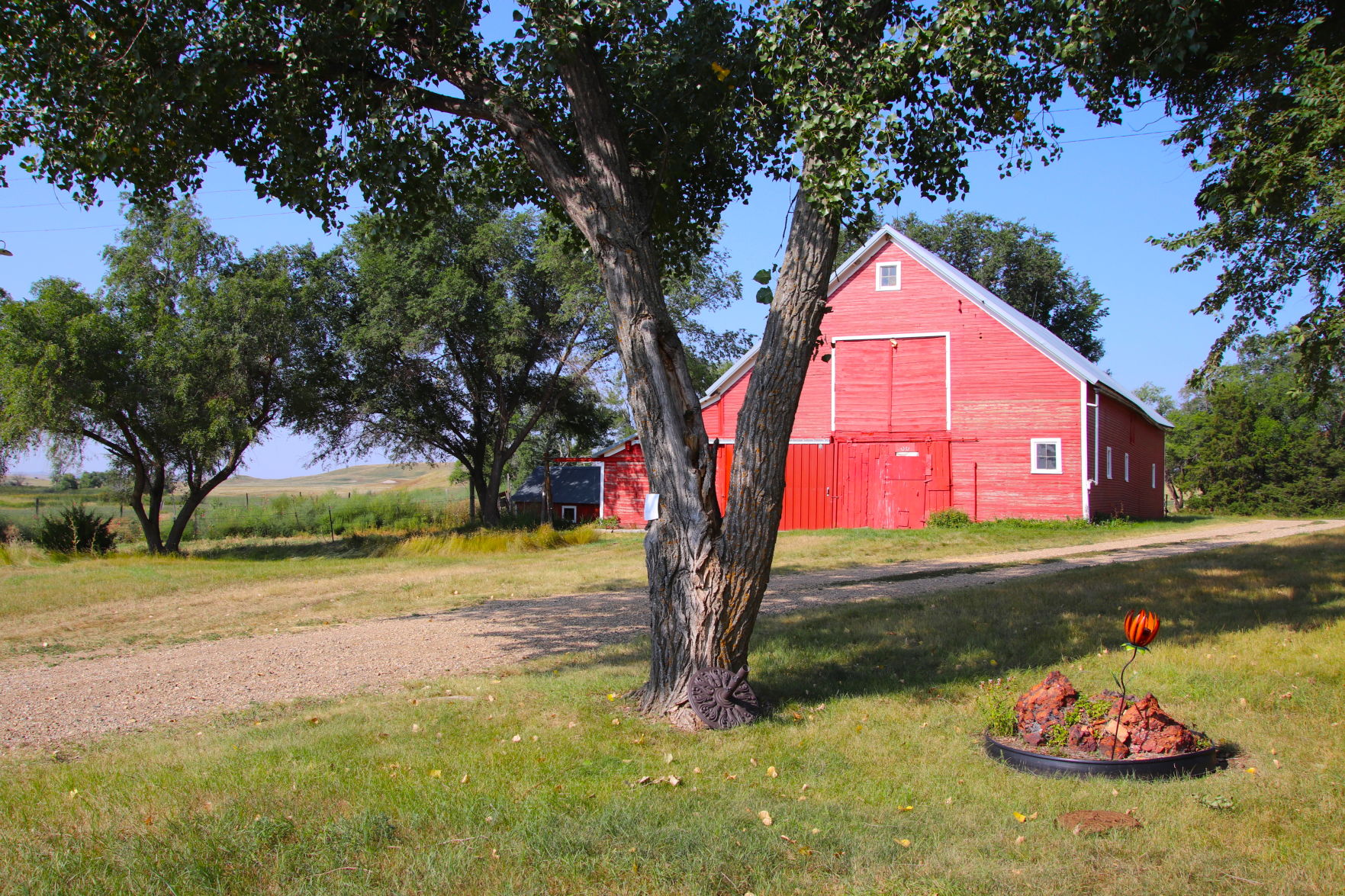 Lovely Barnyard